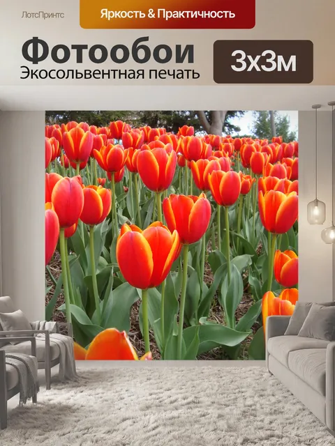 Фотообои ярко-красные тюльпаны