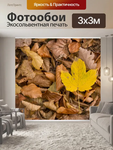 Фотообои Падение