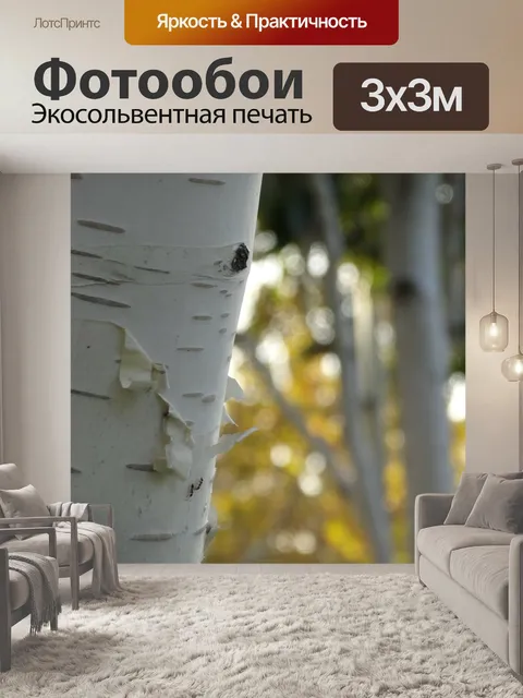 Фотообои Береза