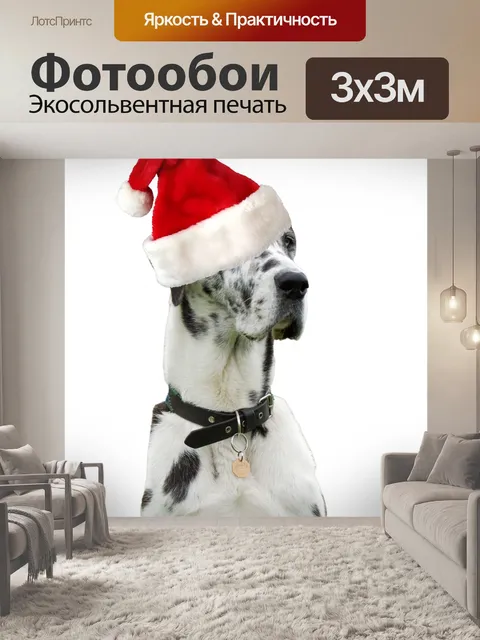 Фотообои Рождество собак Санта Hat