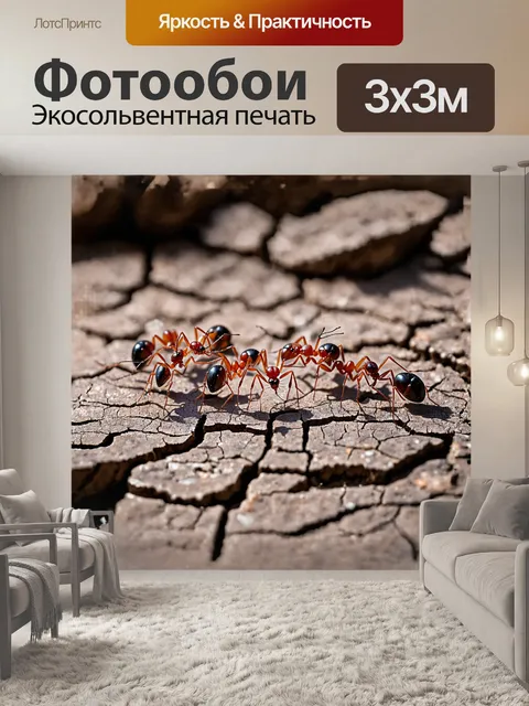 Фотообои красно-черные муравьи