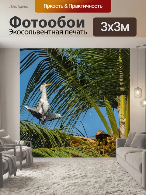 Фотообои Серая цапля