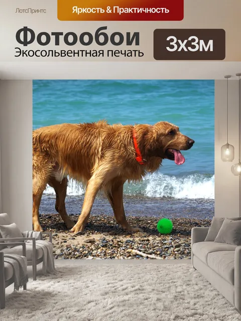 Фотообои Собаки