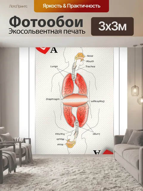 Фотообои Игральная карта