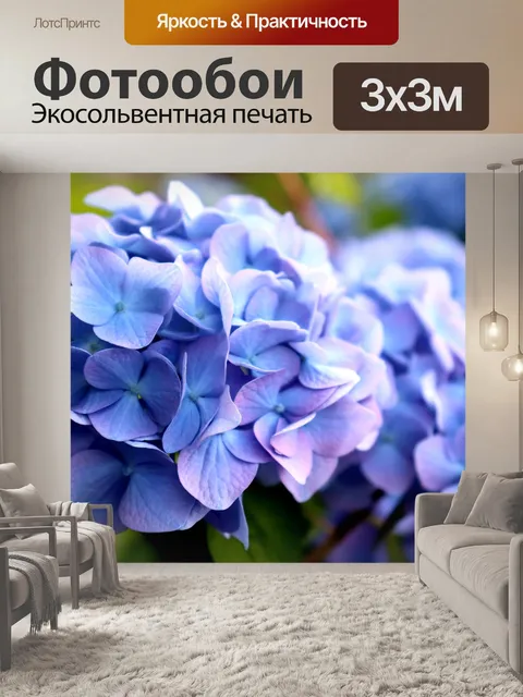 Фотообои Гортензия