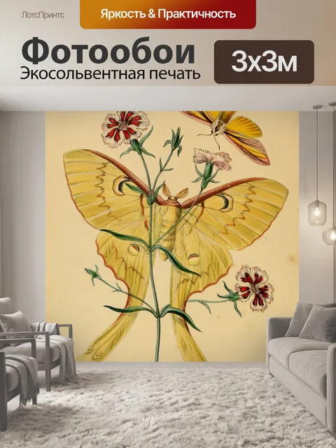 Фотообои Бабочки Винтажное Искусство