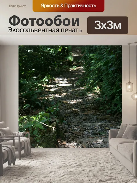 Фотообои Коста-Рика Trail