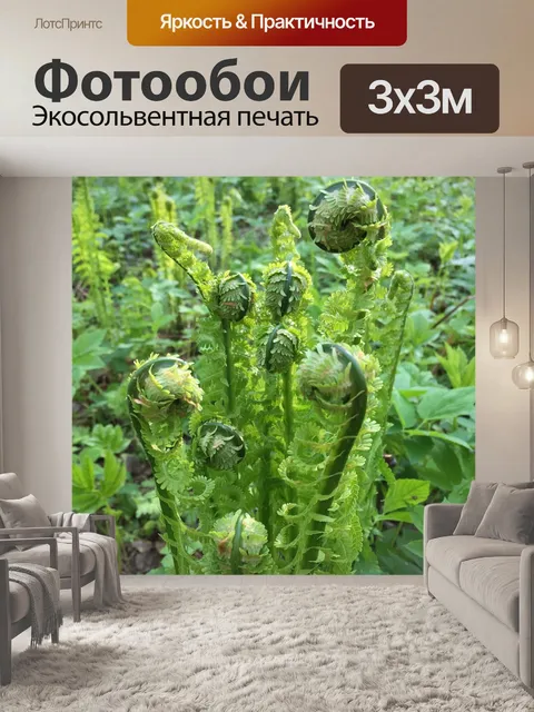 Фотообои Лес