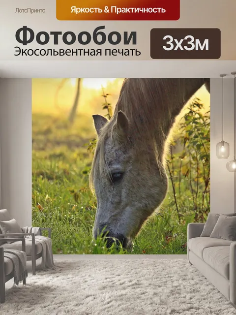 Фотообои Лошадь