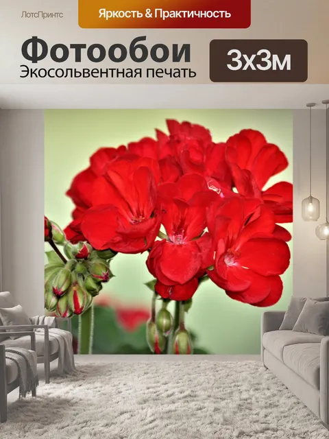Фотообои Красный герань и почки