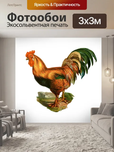 Фотообои Иллюстрация винтажного искусства петуха