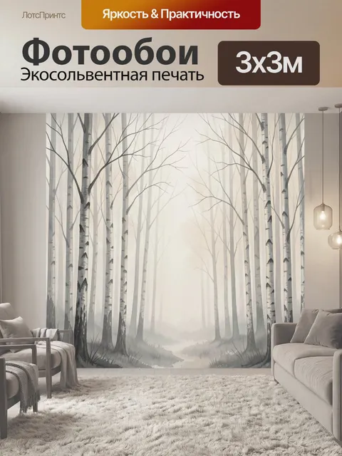 Фотообои Туманный берёзовый лес