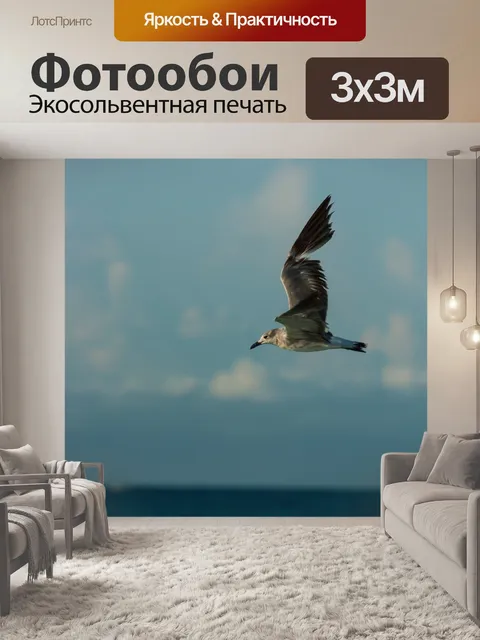 Фотообои Полет чайки