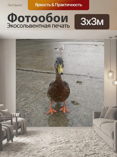 Фотообои И