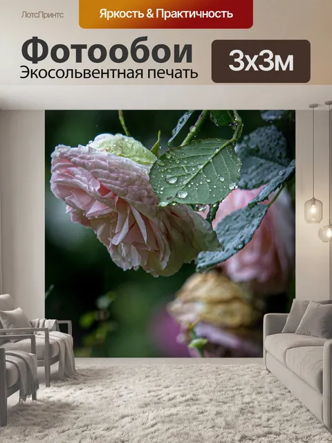 Фотообои Розовый