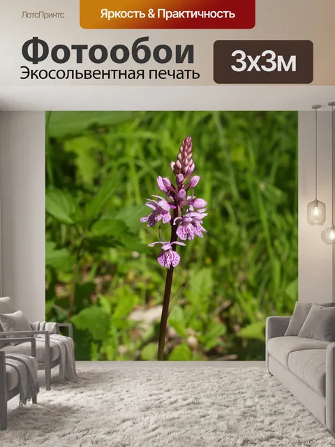 Фотообои Завод