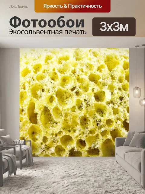 Фотообои Губка для мытья рук