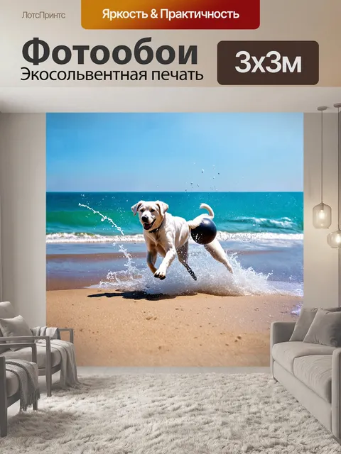 Фотообои белый лабрадор, играющий с черным мячиком на пляже, его радостные прыжки брызгают воду вокруг, а солнечные…