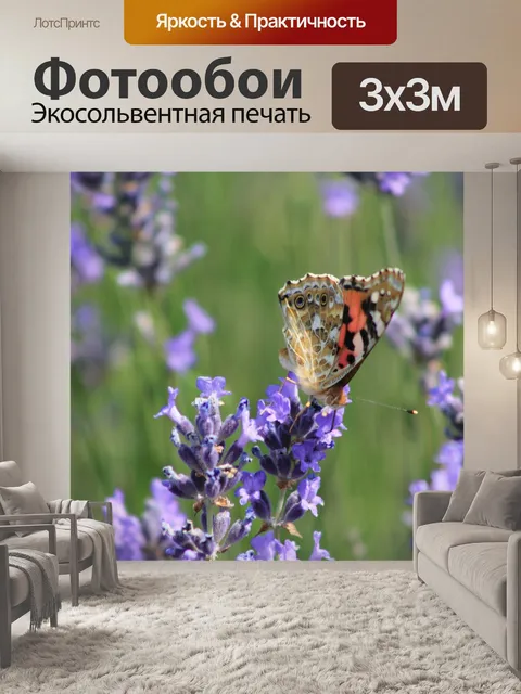 Фотообои Бабочка