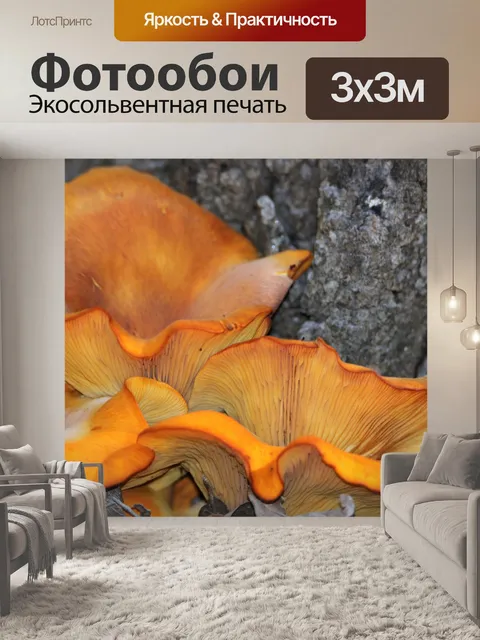 Фотообои Джек-О-Фонарь Грибы Крупным планом