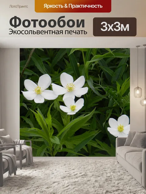 Фотообои Маленькие белые цветы (3)