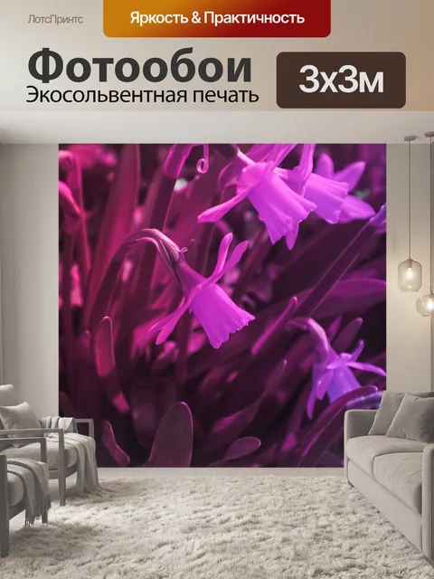 Фотообои Цветок