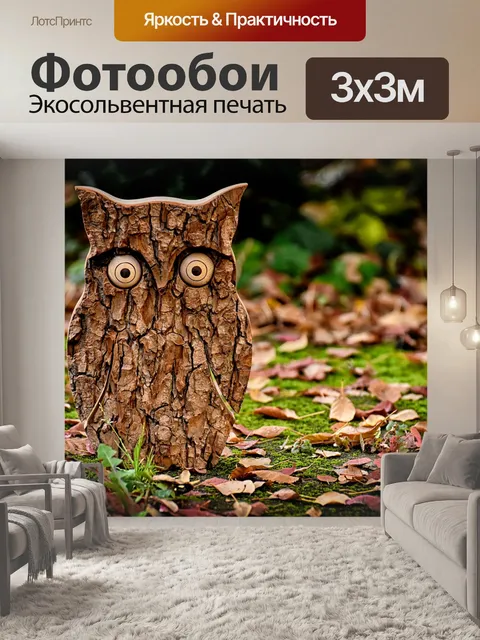 Фотообои Сова