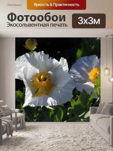 Фотообои Матилия Маки