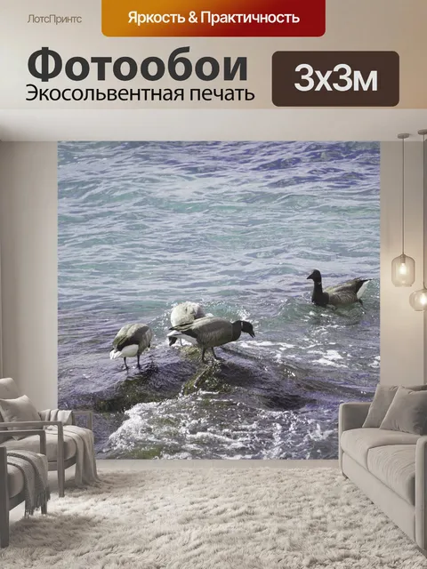 Фотообои Группа диких уток