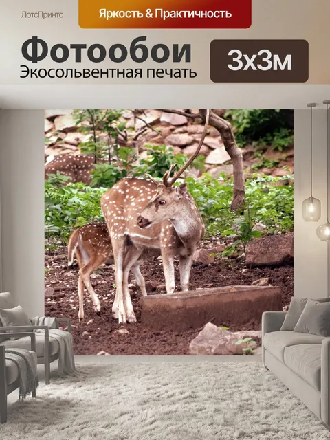 Фотообои Пятнистый олень 10