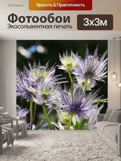 Фотообои Альпийский чертополох