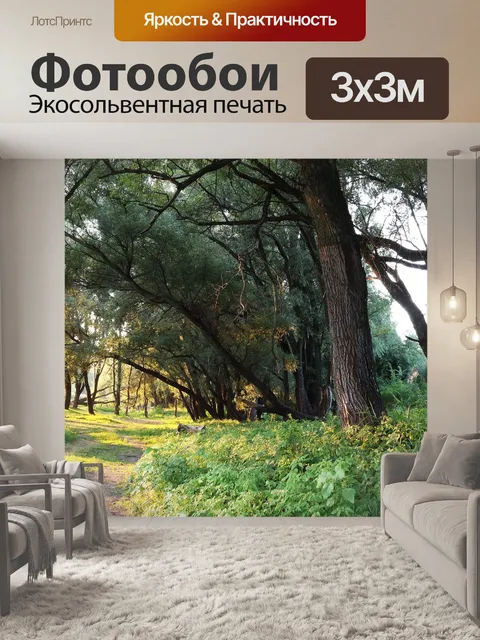 Фотообои Лес