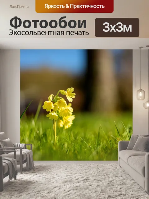 Фотообои Коровник