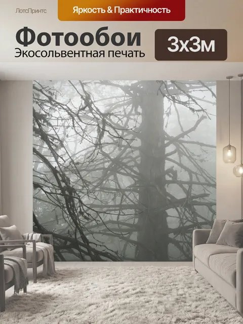 Фотообои Туман