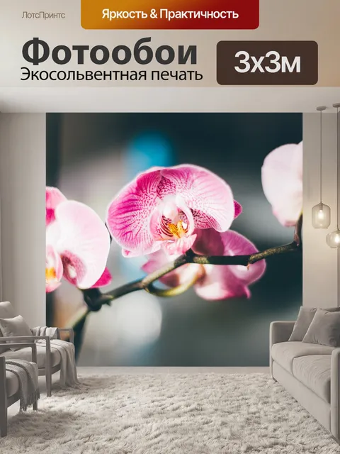 Фотообои Орхидеи