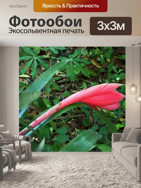 Фотообои закрытый розовый бутон цветка бромелии
