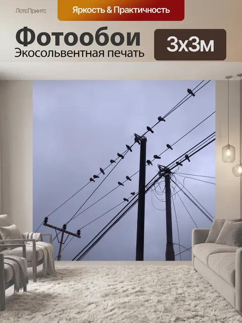 Фотообои Птицы