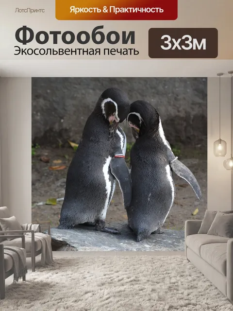 Фотообои Пингвин