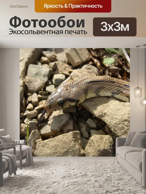 Фотообои Лестница змея