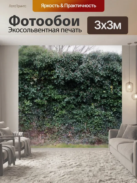 Фотообои Листья листвы дикого плюща