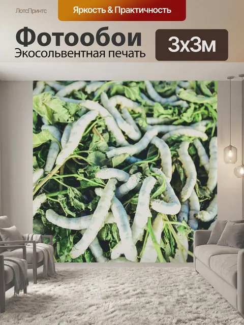 Фотообои Шелкопряд ест листья шелковицы