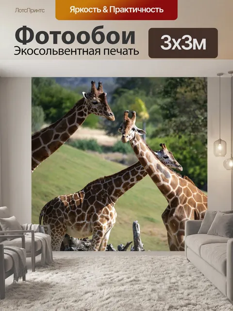 Фотообои жирафа