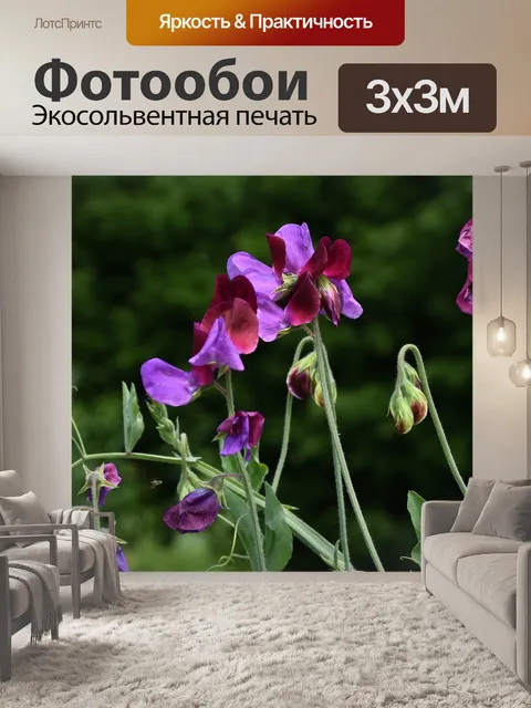 Фотообои Горошек