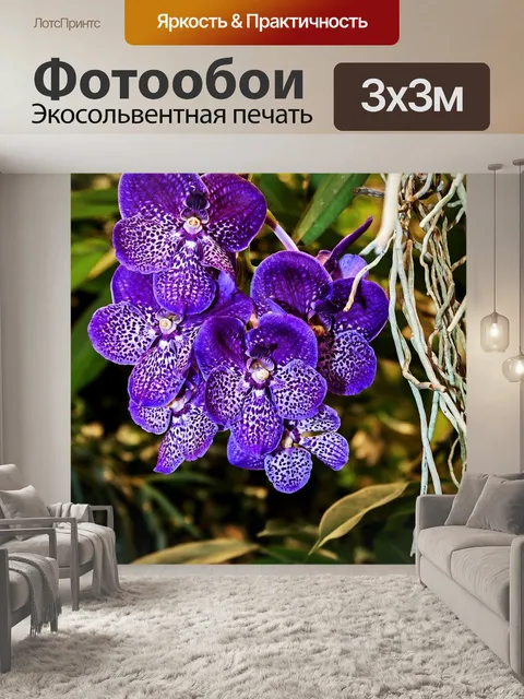 Фотообои Орхидея