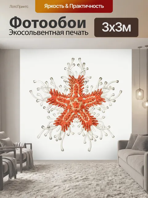 Фотообои Коралловый риф морская звезда старинное