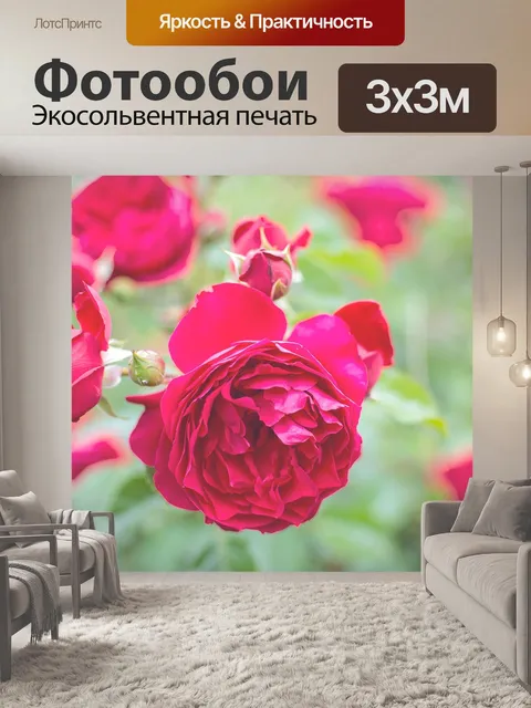 Фотообои Роза