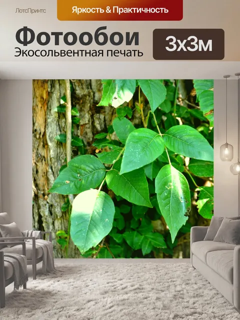 Фотообои Ядовитый плющ