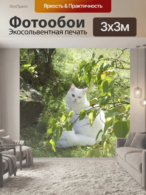 Фотообои Кот
