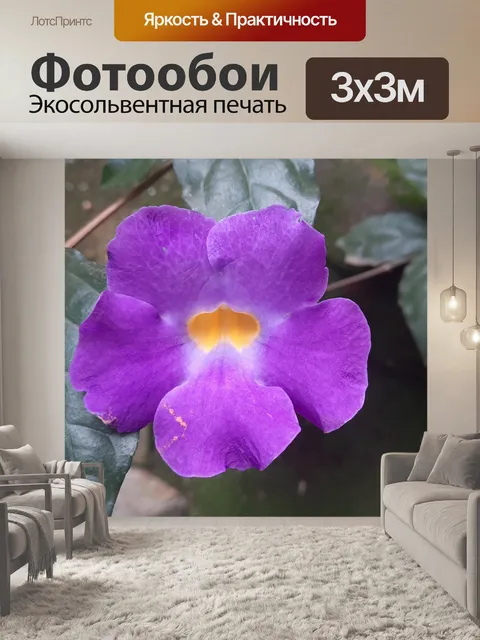 Фотообои Кустарник животик