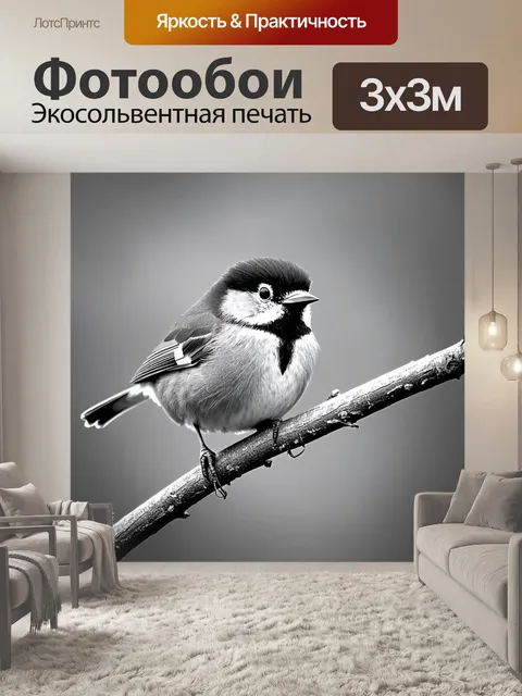 Фотообои животные в стиле черно-белый: крошечная птичка